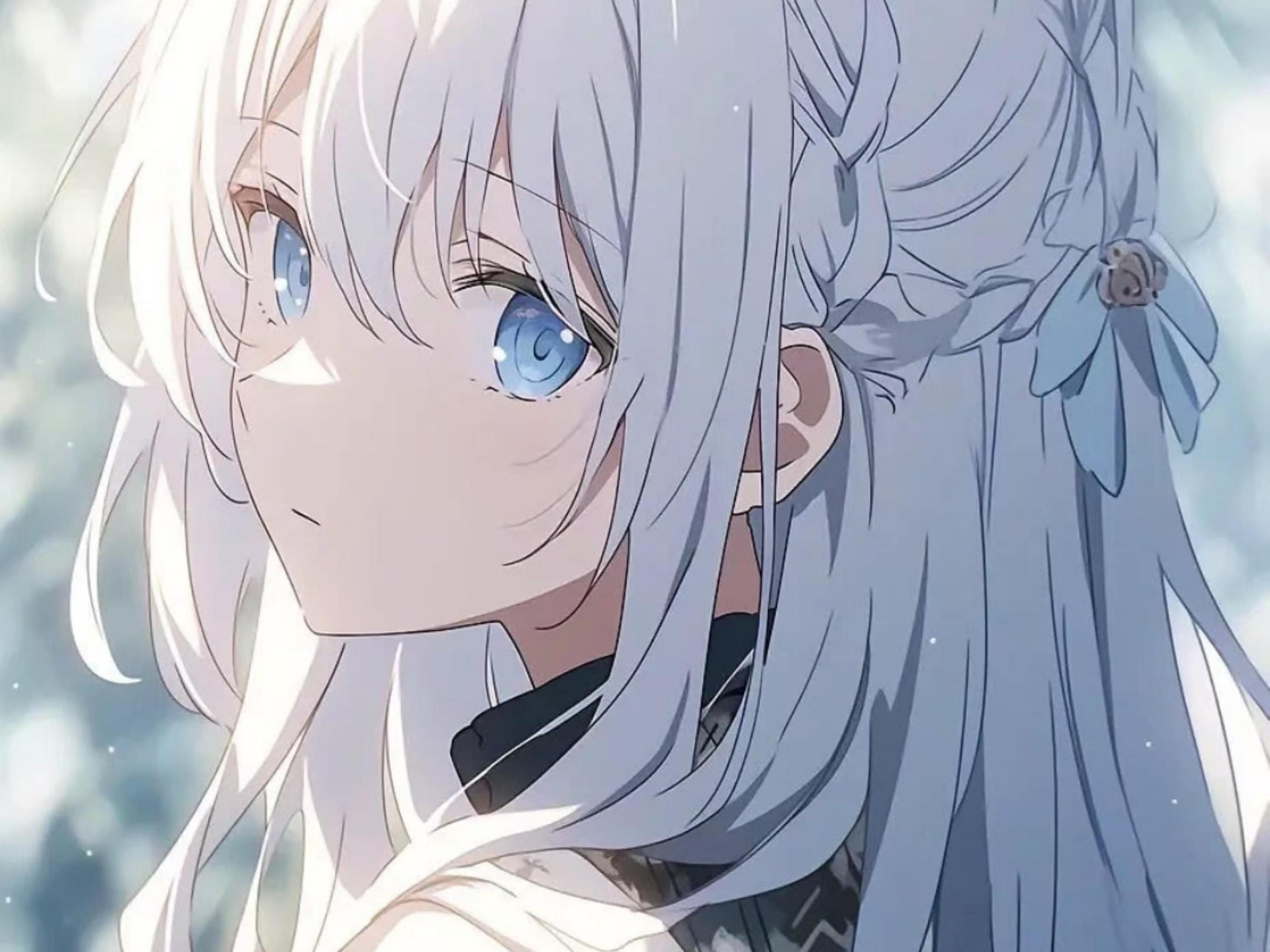 11.5点评 - 野菊小站